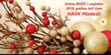 SRETAN BOŽIĆ I USPJEŠNU 2019.GODINU ŽELI VAM VAŠ HAOK MLADOST!